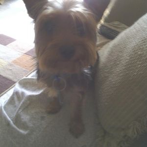 Meet your Posher, Ronald